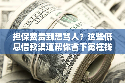 北京担保费贵到想骂人？这些低息借款渠道帮你省下冤枉钱