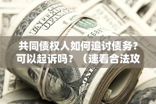 北京共同债权人如何追讨债务？可以起诉吗？（速看合法攻略）