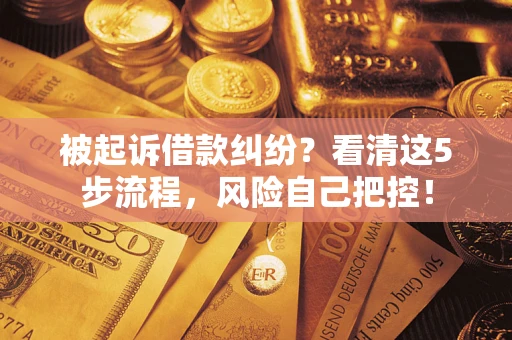 北京被起诉借款纠纷？看清这5步流程，风险自己把控！