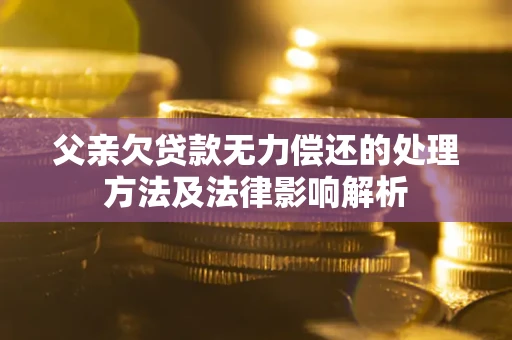 北京父亲欠贷款无力偿还的处理方法及法律影响解析